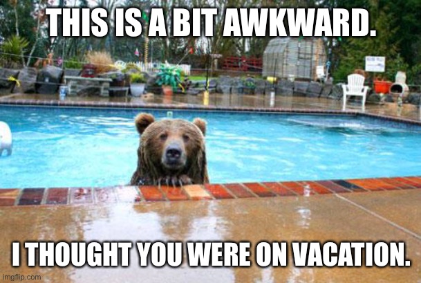 Pool Bear | THIS IS A BIT AWKWARD. I THOUGHT YOU WERE ON VACATION. | image tagged in pool bear | made w/ Imgflip meme maker