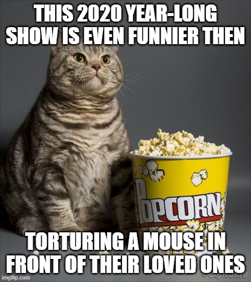 Cat eating popcorn | THIS 2020 YEAR-LONG SHOW IS EVEN FUNNIER THEN; TORTURING A MOUSE IN FRONT OF THEIR LOVED ONES | image tagged in cat eating popcorn | made w/ Imgflip meme maker