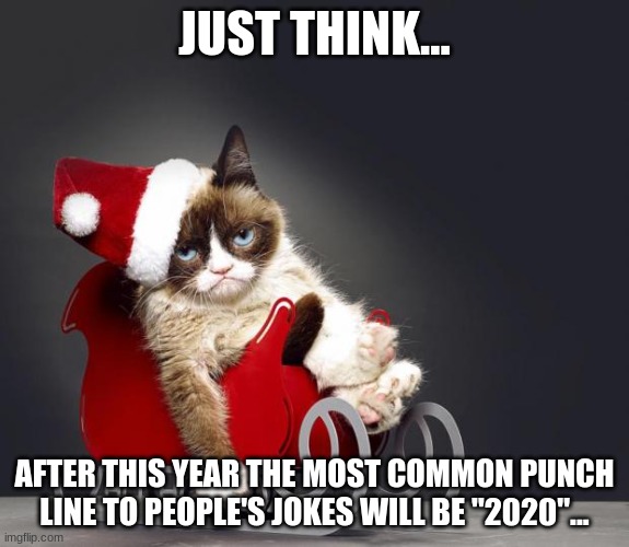 Grumpy Cat Christmas HD | JUST THINK... AFTER THIS YEAR THE MOST COMMON PUNCH LINE TO PEOPLE'S JOKES WILL BE "2020"... | image tagged in grumpy cat christmas hd | made w/ Imgflip meme maker