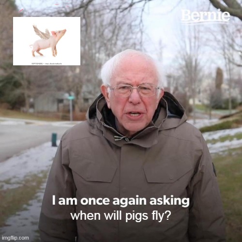 not my best work | when will pigs fly? | image tagged in pig,memes | made w/ Imgflip meme maker