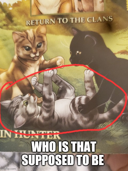 WHO IS THAT SUPPOSED TO BE | made w/ Imgflip meme maker