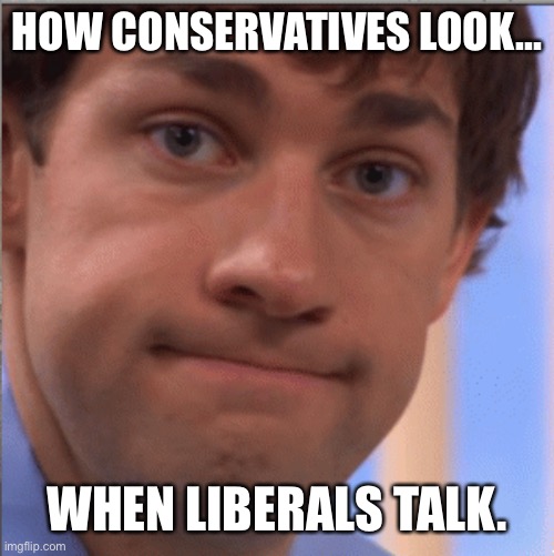 Conservatives look like this when liberals talk | HOW CONSERVATIVES LOOK... WHEN LIBERALS TALK. | image tagged in x doubt jim halpert,liberal vs conservative | made w/ Imgflip meme maker