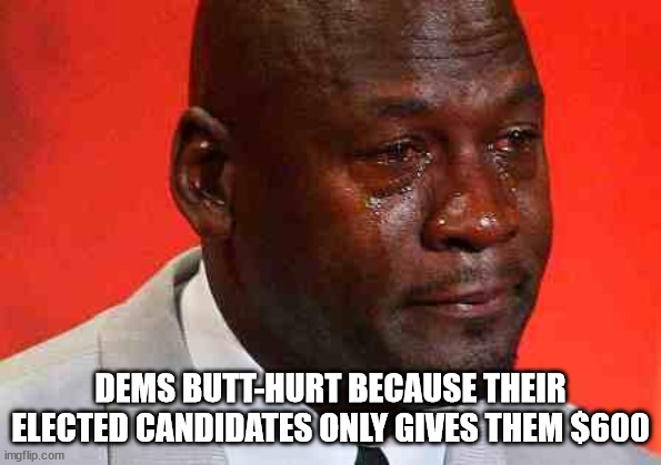 Their votes at work! | DEMS BUTT-HURT BECAUSE THEIR ELECTED CANDIDATES ONLY GIVES THEM $600 | image tagged in crying michael jordan | made w/ Imgflip meme maker