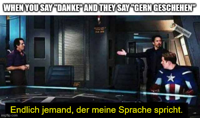 Finally someone who speaks my language. | WHEN YOU SAY "DANKE" AND THEY SAY "GERN GESCHEHEN"; Endlich jemand, der meine Sprache spricht. | image tagged in finally someone who speaks my language | made w/ Imgflip meme maker