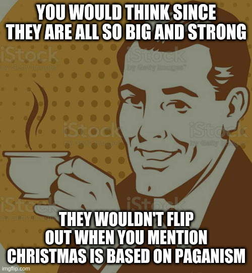 Mug Approval | YOU WOULD THINK SINCE THEY ARE ALL SO BIG AND STRONG; THEY WOULDN'T FLIP OUT WHEN YOU MENTION CHRISTMAS IS BASED ON PAGANISM | image tagged in mug approval | made w/ Imgflip meme maker