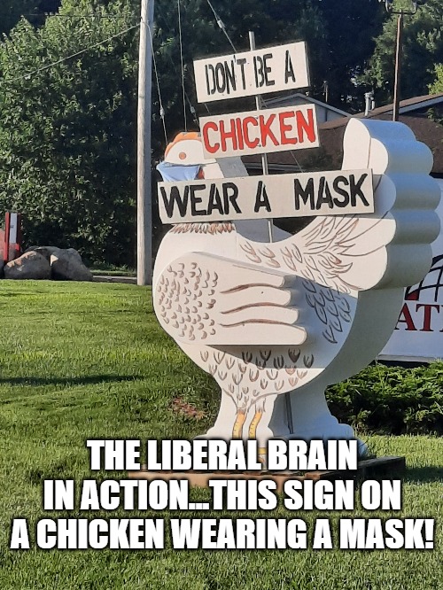 Liberal Logic | THE LIBERAL BRAIN IN ACTION...THIS SIGN ON A CHICKEN WEARING A MASK! | image tagged in chicken,mask,stupidity,liberals | made w/ Imgflip meme maker