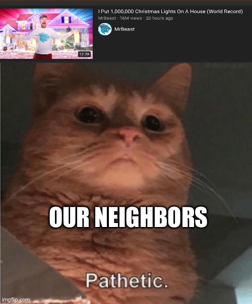 Seriously they have a ton | OUR NEIGHBORS | image tagged in pathetic cat | made w/ Imgflip meme maker