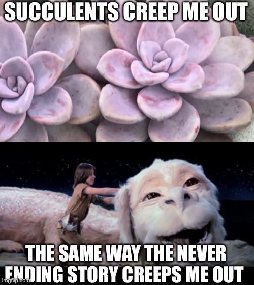 Succulents | SUCCULENTS CREEP ME OUT; THE SAME WAY THE NEVER ENDING STORY CREEPS ME OUT | image tagged in never ending story | made w/ Imgflip meme maker