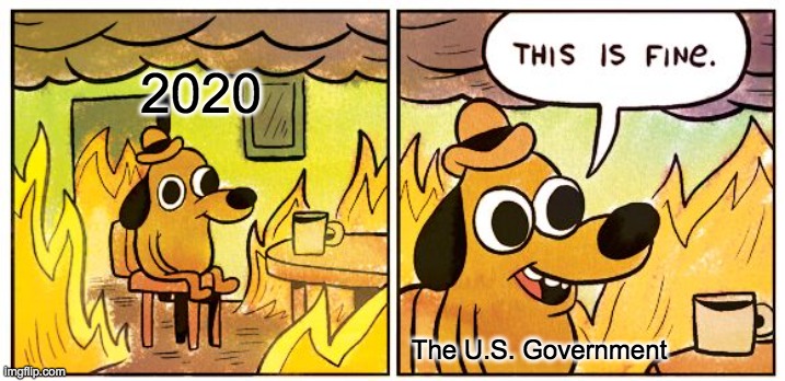 This Is Fine Meme | 2020; The U.S. Government | image tagged in memes,this is fine | made w/ Imgflip meme maker