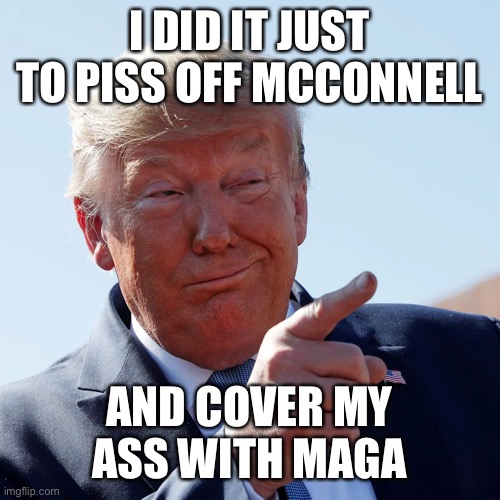 I DID IT JUST TO PISS OFF MCCONNELL AND COVER MY ASS WITH MAGA | made w/ Imgflip meme maker