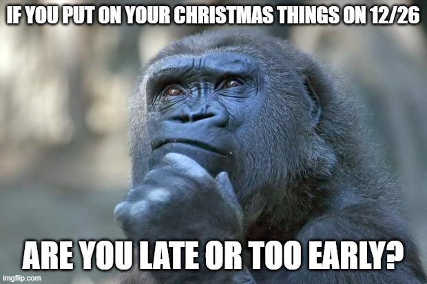 monke hmm | IF YOU PUT ON YOUR CHRISTMAS THINGS ON 12/26; ARE YOU LATE OR TOO EARLY? | image tagged in that is the question | made w/ Imgflip meme maker