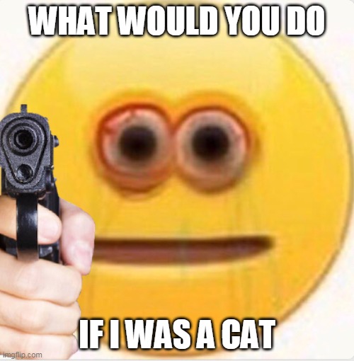 Come on, Tell me | WHAT WOULD YOU DO; IF I WAS A CAT | image tagged in vibe | made w/ Imgflip meme maker