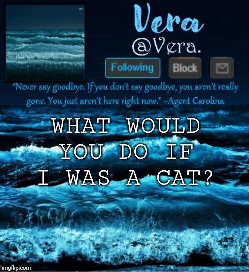 trend? | WHAT WOULD YOU DO IF I WAS A CAT? | image tagged in a n n o u n c e r e v i s e d | made w/ Imgflip meme maker