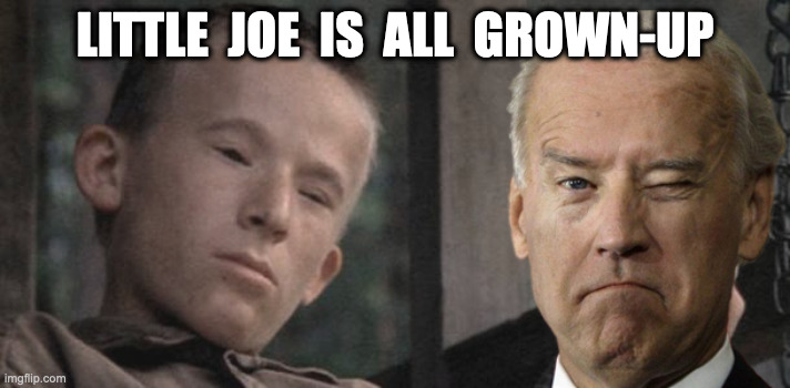 Joe and deliverance | LITTLE  JOE  IS  ALL  GROWN-UP | image tagged in joe biden,joe exotic,fun,meme,hilarious | made w/ Imgflip meme maker