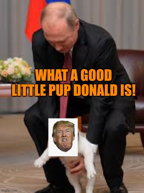 WHAT A GOOD LITTLE PUP DONALD IS! | made w/ Imgflip meme maker