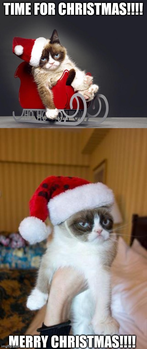 MeRRY CHRiSTMaS eVeRYBoDY!!!!! | TIME FOR CHRISTMAS!!!! MERRY CHRISTMAS!!!! | image tagged in grumpy cat christmas hd,memes,grumpy cat christmas | made w/ Imgflip meme maker
