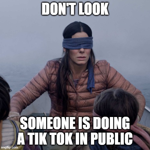 tik tok sucks | DON'T LOOK; SOMEONE IS DOING A TIK TOK IN PUBLIC | image tagged in memes,bird box,funny,funny memes | made w/ Imgflip meme maker