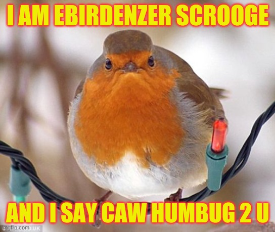 caw humbug | I AM EBIRDENZER SCROOGE; AND I SAY CAW HUMBUG 2 U | image tagged in memes,bah humbug,bird,scrooge,christmas | made w/ Imgflip meme maker