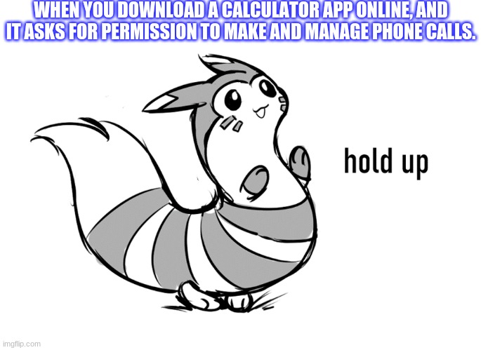 Furret Hold Up Calculator | WHEN YOU DOWNLOAD A CALCULATOR APP ONLINE, AND IT ASKS FOR PERMISSION TO MAKE AND MANAGE PHONE CALLS. | image tagged in furret hold up | made w/ Imgflip meme maker