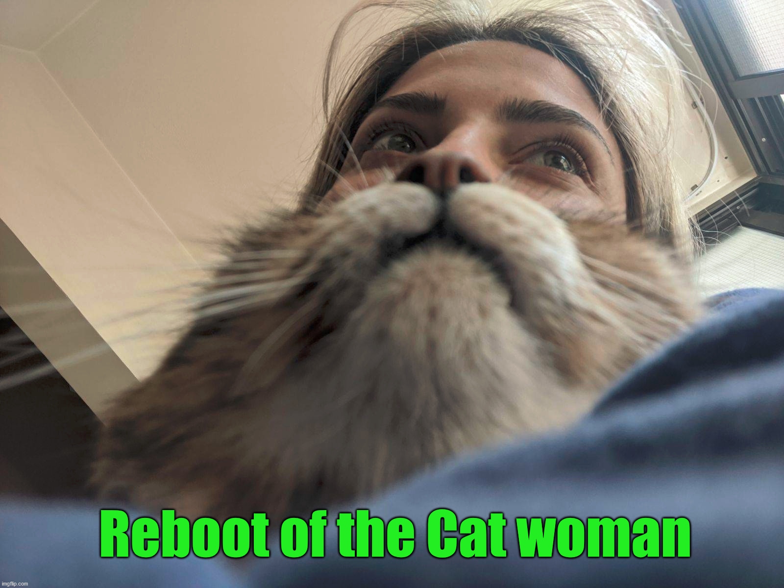 Reboot of the Cat woman | made w/ Imgflip meme maker
