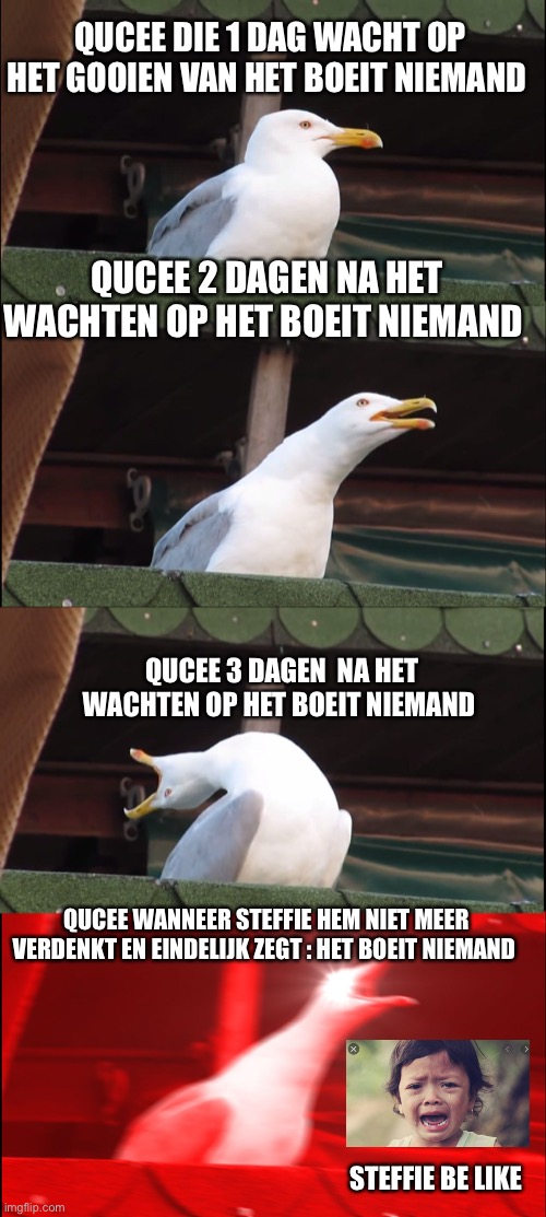 Inhaling Seagull Meme | QUCEE DIE 1 DAG WACHT OP HET GOOIEN VAN HET BOEIT NIEMAND; QUCEE 2 DAGEN NA HET WACHTEN OP HET BOEIT NIEMAND; QUCEE 3 DAGEN  NA HET WACHTEN OP HET BOEIT NIEMAND; QUCEE WANNEER STEFFIE HEM NIET MEER VERDENKT EN EINDELIJK ZEGT : HET BOEIT NIEMAND; STEFFIE BE LIKE | image tagged in memes,inhaling seagull | made w/ Imgflip meme maker