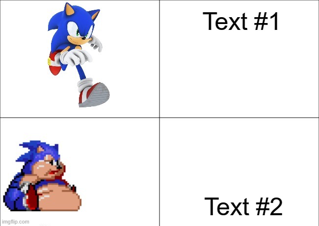 New Sonic Meme Template By Me | Text #1; Text #2 | image tagged in fat sonic | made w/ Imgflip meme maker