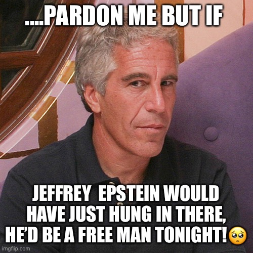 Trump grants more pardons, including for Paul Manafort, Roger Stone and Charles Kushner! | ....PARDON ME BUT IF; JEFFREY  EPSTEIN WOULD HAVE JUST HUNG IN THERE, HE’D BE A FREE MAN TONIGHT!🥺 | image tagged in donald trump,jeffrey epstein,pardon me,criminals,traitor,sarcasm | made w/ Imgflip meme maker