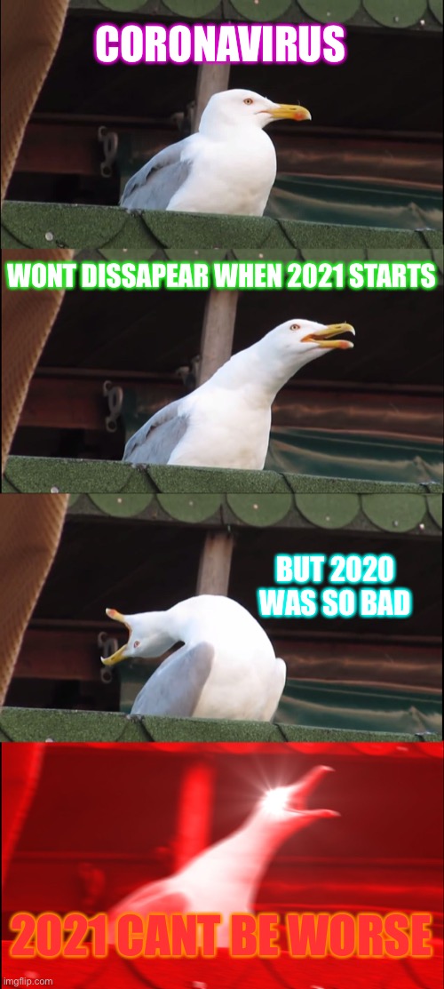 Inhaling Seagull | CORONAVIRUS; WONT DISSAPEAR WHEN 2021 STARTS; BUT 2020 WAS SO BAD; 2021 CANT BE WORSE | image tagged in memes,inhaling seagull,2020,2021 | made w/ Imgflip meme maker