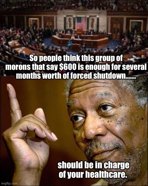 I guess we should just identify as a foreign country | So people think this group of morons that say $600 is enough for several months worth of forced shutdown....... should be in charge of your healthcare. | image tagged in morgan freeman,politics,memes,congress,spongebob squarepants,derp | made w/ Imgflip meme maker