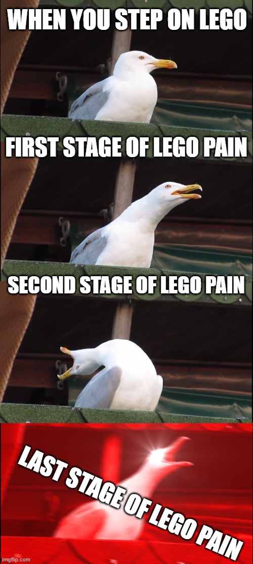 :P endersword | WHEN YOU STEP ON LEGO; FIRST STAGE OF LEGO PAIN; SECOND STAGE OF LEGO PAIN; LAST STAGE OF LEGO PAIN | image tagged in memes,inhaling seagull | made w/ Imgflip meme maker
