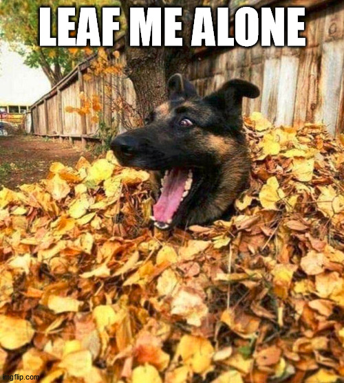 LEAF ME ALONE | made w/ Imgflip meme maker