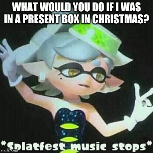 Splatfest music stops | WHAT WOULD YOU DO IF I WAS IN A PRESENT BOX IN CHRISTMAS? | image tagged in splatfest music stops | made w/ Imgflip meme maker