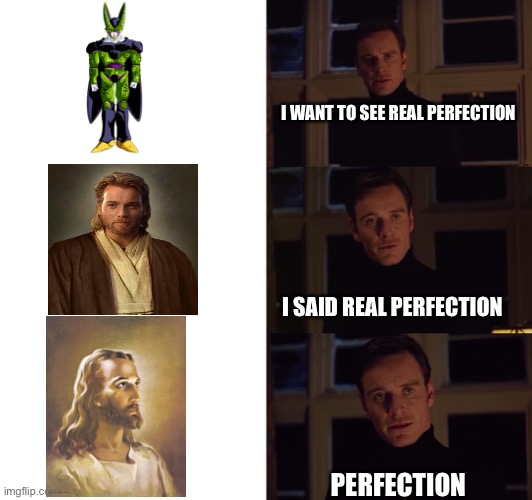 perfection | I WANT TO SEE REAL PERFECTION; I SAID REAL PERFECTION; PERFECTION | image tagged in perfection | made w/ Imgflip meme maker