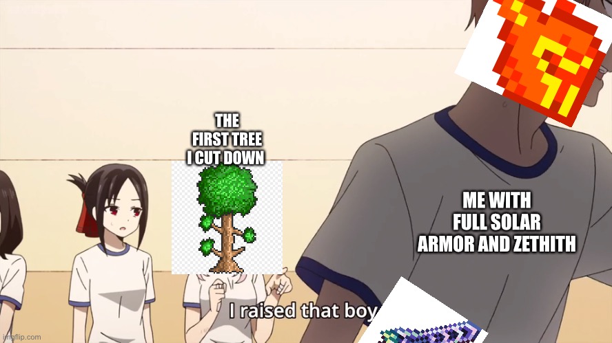 Terraia memes | THE FIRST TREE I CUT DOWN; ME WITH FULL SOLAR ARMOR AND ZETHITH | image tagged in i raised that boy | made w/ Imgflip meme maker