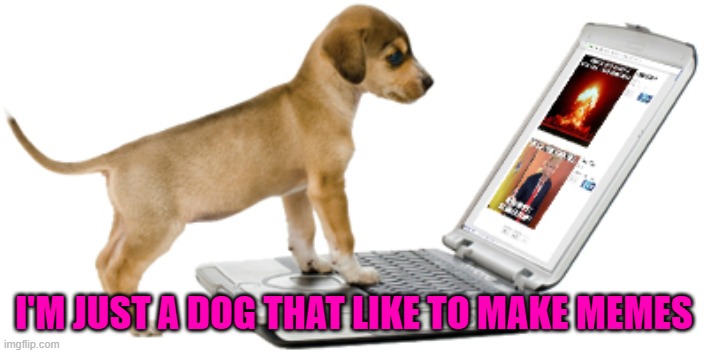 I'M JUST A DOG THAT LIKE TO MAKE MEMES | made w/ Imgflip meme maker