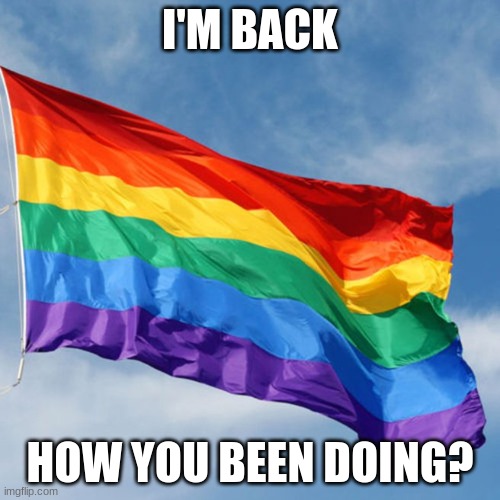 I'm back | I'M BACK; HOW YOU BEEN DOING? | image tagged in rainbow flag,i'm back | made w/ Imgflip meme maker
