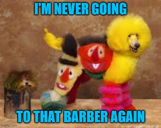 I'M NEVER GOING; TO THAT BARBER AGAIN | image tagged in sesame street,memes,dogs,funny,animals | made w/ Imgflip meme maker