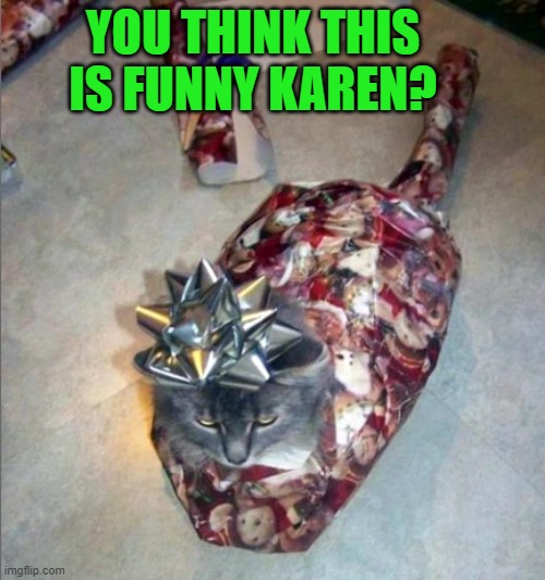 POOR KITTY | YOU THINK THIS IS FUNNY KAREN? | image tagged in cats,funny cats,christmas | made w/ Imgflip meme maker