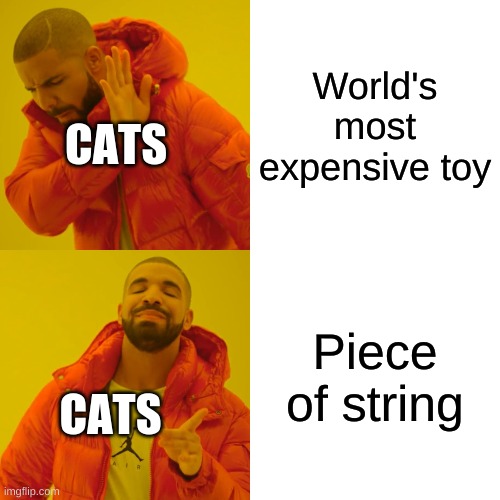 Too True LOL | World's most expensive toy; CATS; Piece of string; CATS | image tagged in memes,drake hotline bling | made w/ Imgflip meme maker