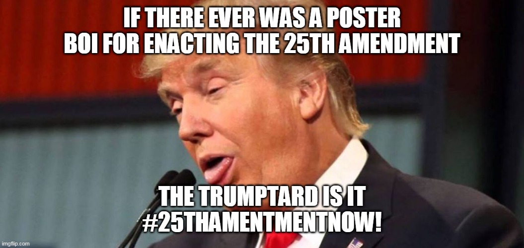 if there ever was a poster boi for enacting the 25th amendment | IF THERE EVER WAS A POSTER BOI FOR ENACTING THE 25TH AMENDMENT; THE TRUMPTARD IS IT
#25THAMENTMENTNOW! | image tagged in trumptard | made w/ Imgflip meme maker