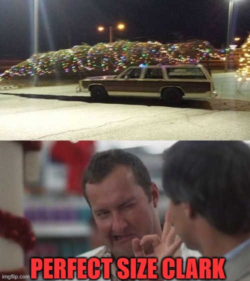 GRIZWALD TREE | PERFECT SIZE CLARK | image tagged in real nice - christmas vacation,clark griswold,cars | made w/ Imgflip meme maker