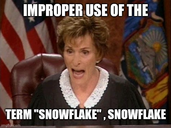 Judge Judy | IMPROPER USE OF THE TERM "SNOWFLAKE" , SNOWFLAKE | image tagged in judge judy | made w/ Imgflip meme maker