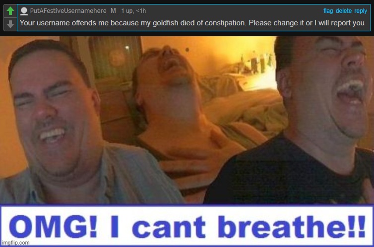 image tagged in lmao | made w/ Imgflip meme maker