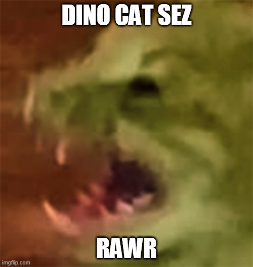 Dino Cat | DINO CAT SEZ; RAWR | image tagged in cat,dino,dinocat,dinosaur,kitty,rawr | made w/ Imgflip meme maker
