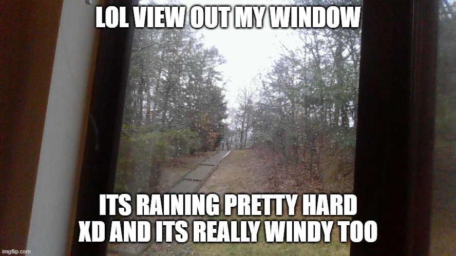 idk why i posted this, n o b o d y a s k e d | LOL VIEW OUT MY WINDOW; ITS RAINING PRETTY HARD XD AND ITS REALLY WINDY TOO | made w/ Imgflip meme maker