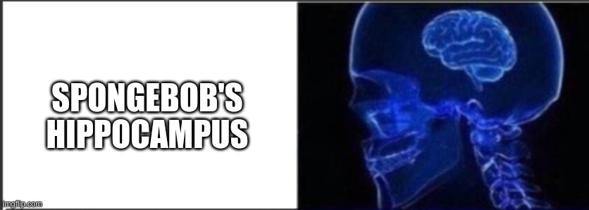 It's Just A Joke, So Don't Come For Me | SPONGEBOB'S HIPPOCAMPUS | made w/ Imgflip meme maker