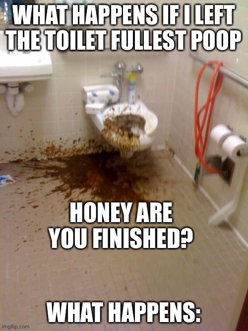 What happens if I left the toilet fullest poop | WHAT HAPPENS IF I LEFT THE TOILET FULLEST POOP; HONEY ARE YOU FINISHED? WHAT HAPPENS: | image tagged in girls poop too | made w/ Imgflip meme maker