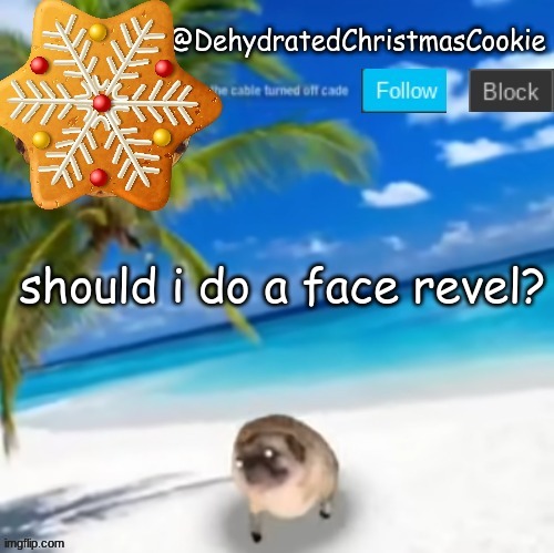 should i? | should i do a face revel? | image tagged in ahhhhh | made w/ Imgflip meme maker