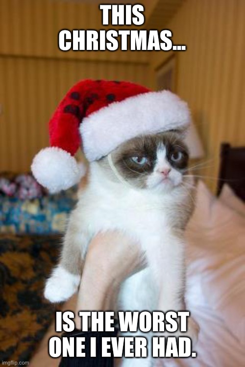 The worst Christmas 2020 | THIS CHRISTMAS... IS THE WORST ONE I EVER HAD. | image tagged in memes,grumpy cat christmas,grumpy cat | made w/ Imgflip meme maker