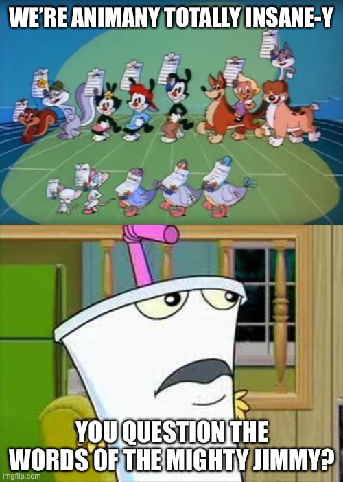 WE’RE ANIMANY TOTALLY INSANE-Y; YOU QUESTION THE WORDS OF THE MIGHTY JIMMY? | image tagged in animaniacs,master shake,athf,memes | made w/ Imgflip meme maker